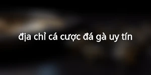 địa chỉ cá cược đá gà uy tín